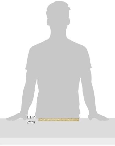 Charles Leonard Metal Edged Wood Ruler with Double Bevel, 12 Inches, Natural (77120)