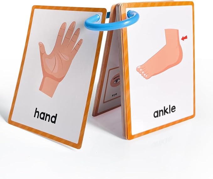 Lachilly Body Parts Learning Flashcards, High Frequency Words, Beginning Reading, Kindergarten to 1st Grade, ESL Teaching Materials, Autism Learning Materials, Vocabulary Building, 15 Cards, 28 Words