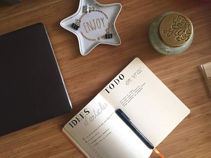 Rhodia Rhodiarama SoftCover Notebook - 80 Dots Sheets - 6 x 8 1/4 - Chocolate Cover (RD-1174/53)