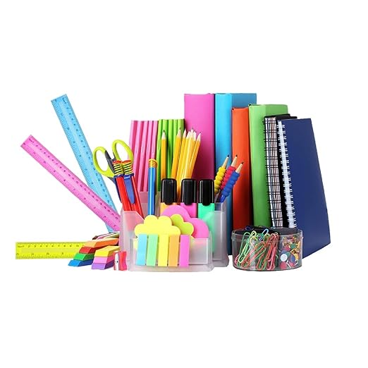 30 Pack Clear Plastic Rulers 12 Inch, Transparent Bulk Rulers for Classroom