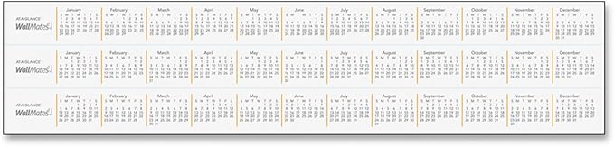 AT-A-GLANCE AW502028 WallMates Self-Adhesive Dry Erase Monthly Planning Surface, 24 x 18