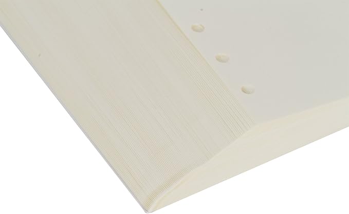 A6 Blank Refill Paper 6 Hole Punched Filler Paper Refills for A6 Loose Leaf Notebook Travel Journal Personal Diary Planner Binder, 80 Sheet, 160 Page, 4.1 Inches x 6.5 Inches
