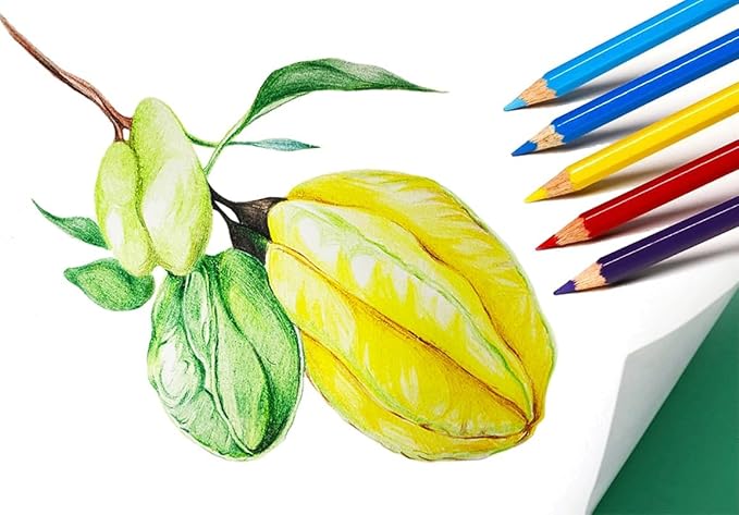 SKKSTATIONERY 50Pcs Colored Pencils,50 Vibrant Colors, Drawing Pencils for Sketch, Arts, Coloring Books, Back to school Christmas Gifts