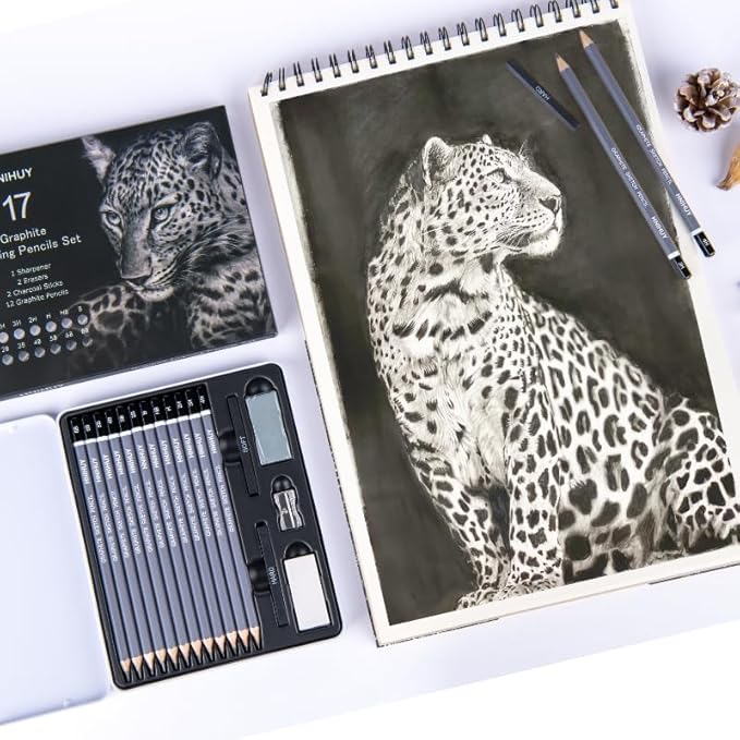 HNIHUY Professional Sketch Pencils Set, 17 Pcs, Graphite Pencils (8B-4H), Erasers and Sharpener, Art Drawing Pencil for Artists Beginner Sketching