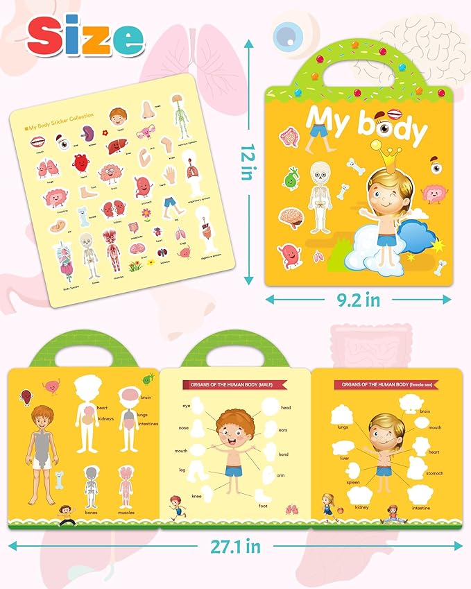 Benresive Reusable Sticker Book for Toddlers, Travel Stickers for Kids, Toddler Crafts Activities Toys, Birthday Gifts for Boys & Girls - My Body