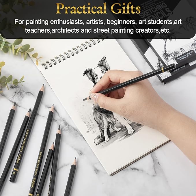 288 Pcs Drawing Sketching Pencil Set Professional (12b - 4h) Graphite Charcoal Gift Bulk for Artists Beginners, Pro Artists, Drawing Art, Sketching