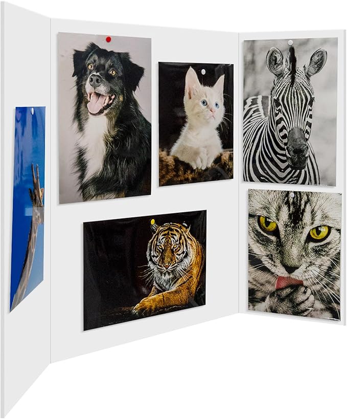 Trifold Poster Board Foam Core 24 x 36 x 3/16"(5mm) - 5 Pack - Tri Fold Posters Display Board, Acid Free, Double Sided, Posterboard Foamboard for Mounting, Prints, Art, Presentation and Projects