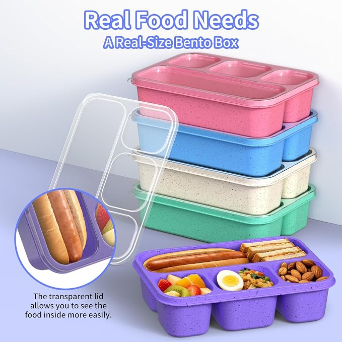 Bento Box 5-Pack, 4-Compartment Lunch Box for Women, Men & Kids, BPA-Free Wheat Straw Snack Containers, Ideal for Meal Prep, Travel, School, Work (Purple)