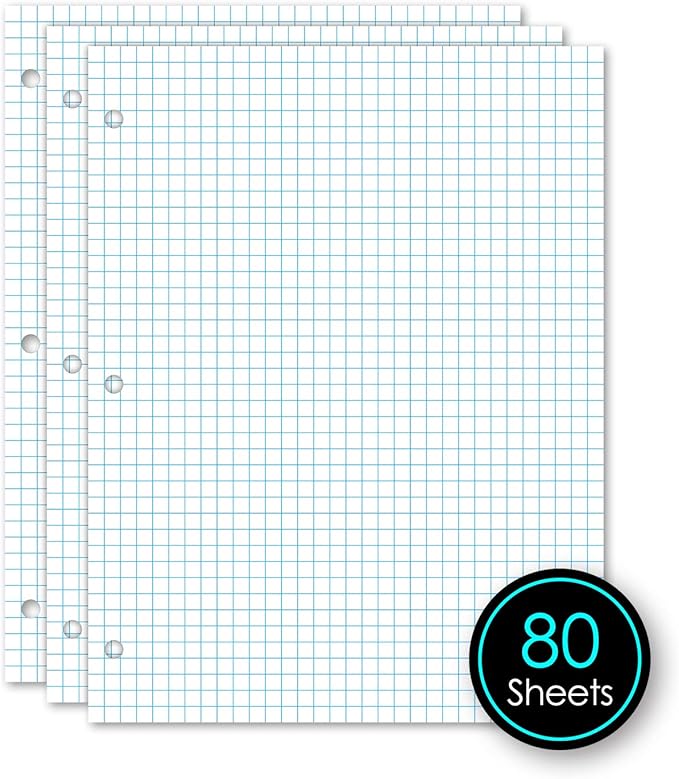iScholar Quad Filler Paper, 4 Squares per Inch, 10.5 x 8 Inches, 80 Sheets (24844) White