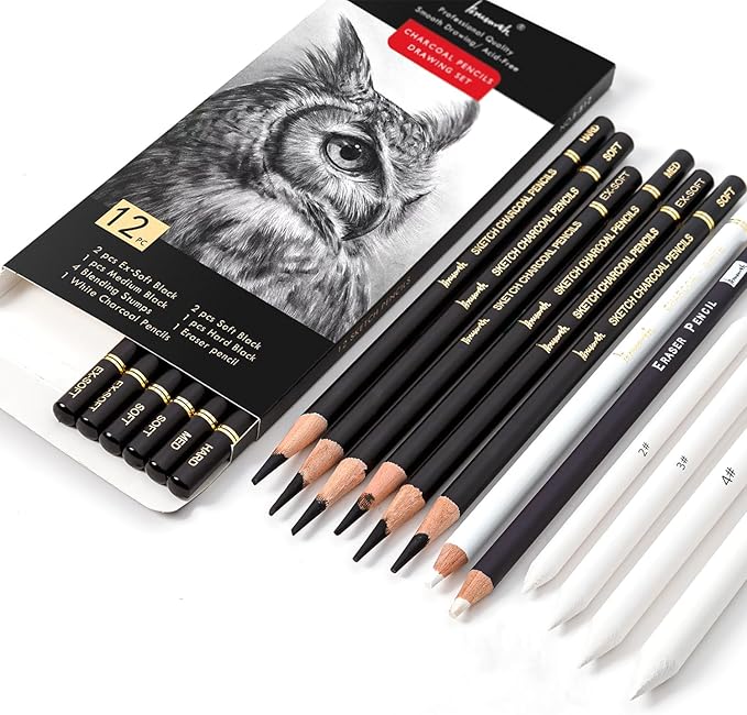 Brusarth Charcoal Drawing Set -12 pc Black charcoal pencils, White Charcoal Pencils, Eraser Pencils, Blending Stumps for Drawing, Sketching, Shading, Artist Pencils for Beginners & Artists
