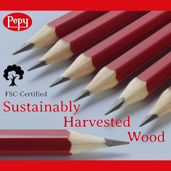 Pepy Graphite Professional Drawing Pencils - Set of 12 H Pre-Sharpened Black Lead Pencils; Perfect for Drawing, Sketching and Shading, Graphic and Fine Art