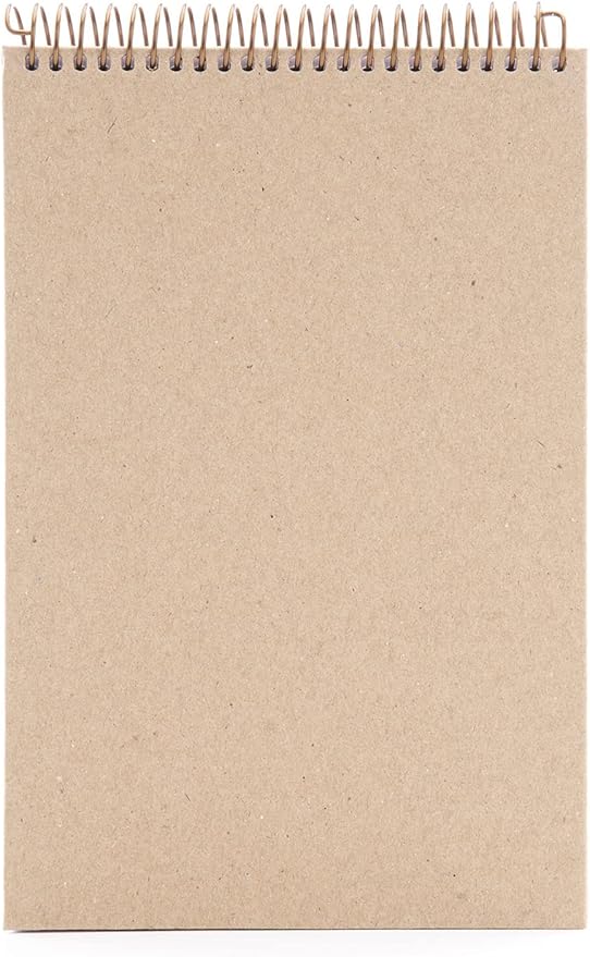 Mintra 100% Recycled Notebooks (Steno Book, Kraft Cover 3pk)