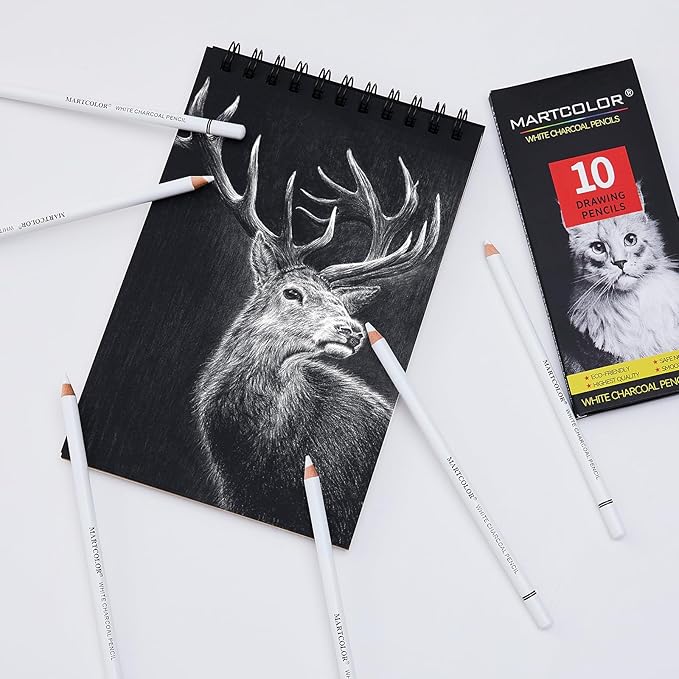 MARTCOLOR Professional White Charcoal Pencils Set, 10 Pieces Sketch Highlight Charcoal Pencils for Drawing, Sketching, Shading, Blending, White Chalk Pencils for Beginners & Artists