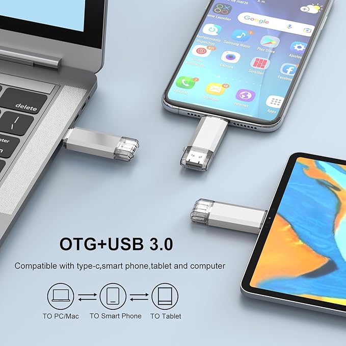 RAOYI 128GB USB C Flash Drive, 2 in 1 USB 3.0 Type C Dual OTG Metal Thumb Drive Jump Drive Memory Stick with Keychain Suitable for USB-C Smartphones, MacBook, Computers and Tablets (Silver)