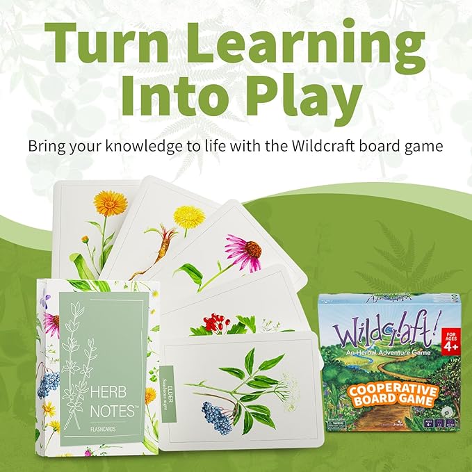 Herb Notes Flash Cards – Educational Plant Learning Cards with Botanical Illustrations – 48-Card Set for Plant Identification, Nature Study & Classroom Learning