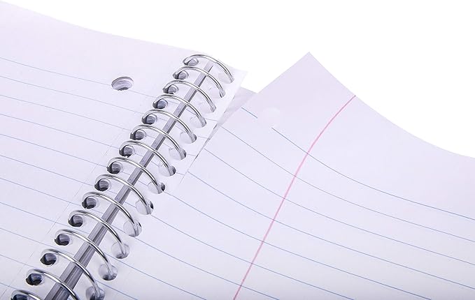 Mintra Office Durable Spiral Notebooks, 5 Subject (Spring Pink, Wide Ruled 1pk)