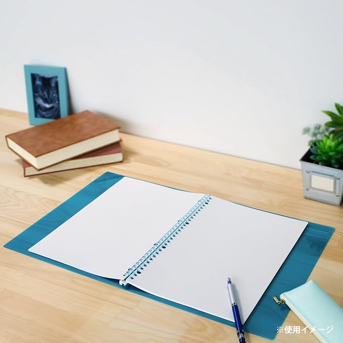 Maruman 30-Hole Loose Leaf Grid Sheets, A4, 8.27" x 11.69", 5mm Graph Paper Refill, 100 Sheets, Compatible With Maruman Session and Five Chart Binders, Made in Japan