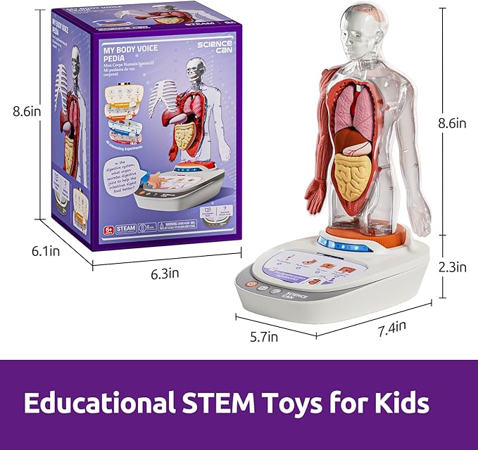 Science Can Human Body Model for Kids, Interactive Human Anatomy Talking Model - 11 Inch Realistic Anatomical Assembly Kit, 15PCS Removable Parts & Guide, Educational STEM Toys Gifts for Kids Aged 6+