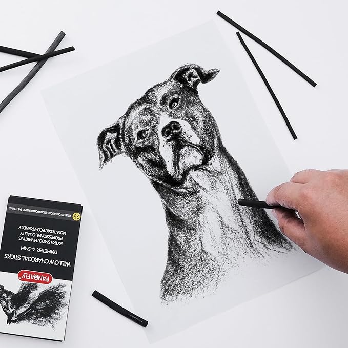 PANDAFLY Willow Charcoal Sticks, Soft, Black Artist Vine Charcoal for Artists, Beginners, Students, Great for Sketching, Drawing, Shading and Fine Art, 5-7mm, 25 Pack