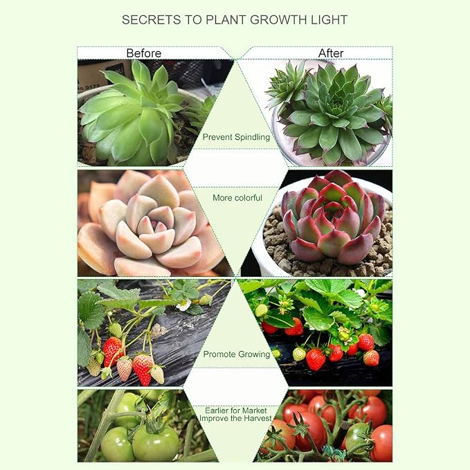 40W Grow Light LED Plant Grow Lights for Indoor Plants Auto ON Off/Timer | Full Spectrum Plant Lamp,Clip-On Desk Grow Lamp Bulb,3/9/12H Timer,9 Dimmable Lightness,3 Lighting Modes,for Indoor Plant