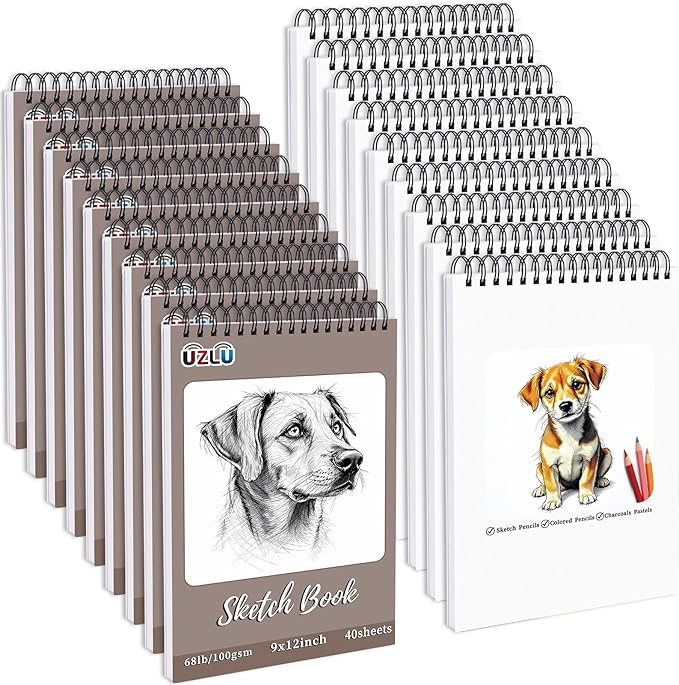 18 Pcs Sketch Book Bulk 9 x 12 In 720 Sheets Top Spiral Bound Sketch Pad Drawing Paper 40 Sheets Each Acid Free Mixed Media Sketchbook 68lb/100gsm Art Supplies for Beginner Artist