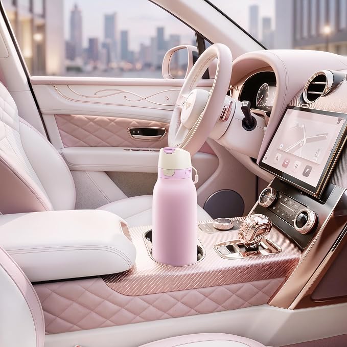Meoky 24 oz Stainless Steel Slim Water Bottle: 2-in-1 Locking Lid, Blush | Leak Proof, Straw and Spout, 24 Hours Cold, Top Handle, Fits in Car Cup Holder, Insulated Water Bottle for Backpack