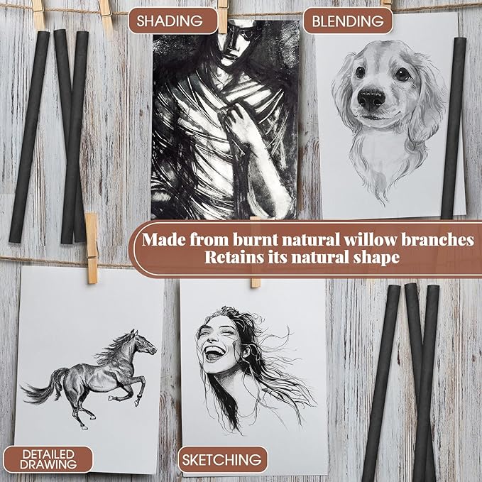 Gueevin 50 Pcs Willow Charcoal Sticks, Willow Charcoal, Artists, Beginners, Students, Perfect for Sketching, Drawing, Shading, and Fine Art Christmas Gifts for Art (4-5mm)