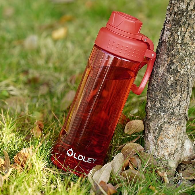 OLDLEY Water Bottles 20oz BPA Free Tritan Water Bottle with Carry Handle and Spout Lid, Leakproof Kids Water Bottle for Home,Travel, School, Outdoors,Red