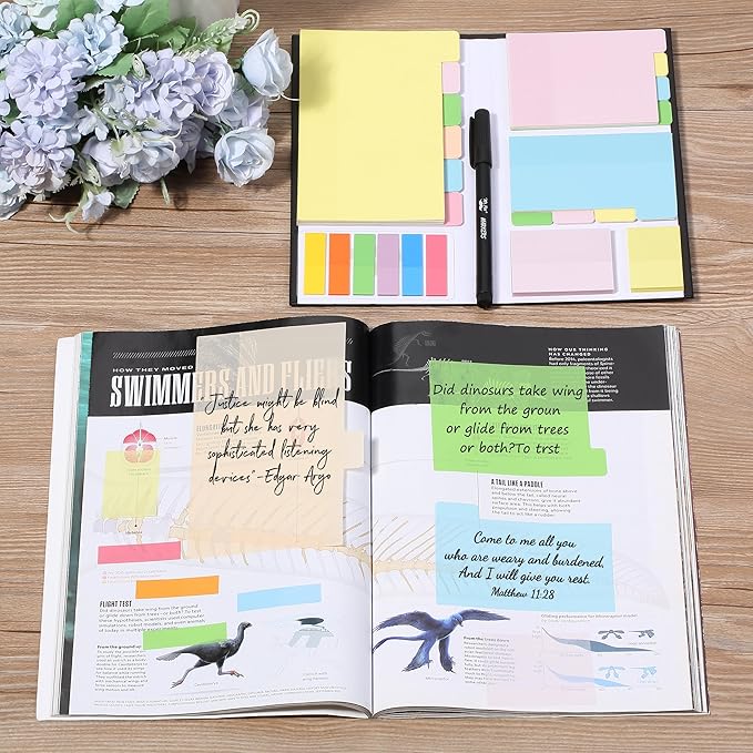Mr. Pen- Transparent Sticky Notes Set, 380 Pack, Transparent Sticky Notes Tabs with Black Fineliner Pen for Bible Study, Office, School, Planning, Journaling & Organization
