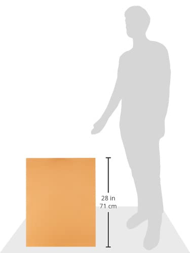 Pacon Poster Boards (PAC76347)