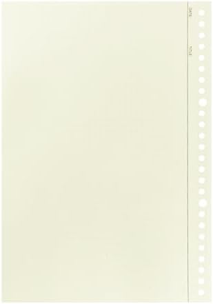 Zelten 2 Pack B5 120 Sheets/240 Pages Connell Blank Loose Leaf Punched Paper Refills Paper for 26 Hole Binder Personal Organizer Diary Notebook Refillable Planner