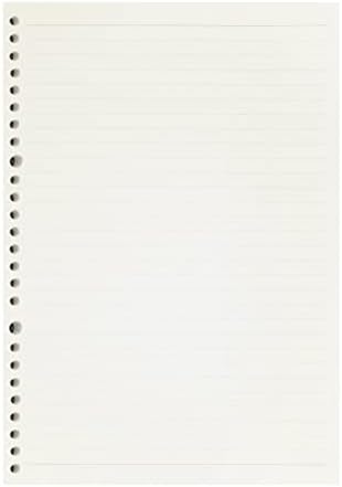 Zelten 2 Pack B5 120 Sheets/240 Pages Lined Loose Leaf Punched Paper Refills Paper for 26 Hole Binder Personal Organizer Diary Notebook Refillable Planner