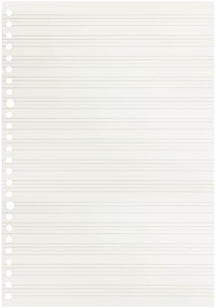 Zelten 2 Pack B5 120 Sheets/240 Pages Four Line Loose Leaf Paper for 26 Hole Binder Handwriting Practice Paper Blank Writing Pages - for Students Learning to Write Letters