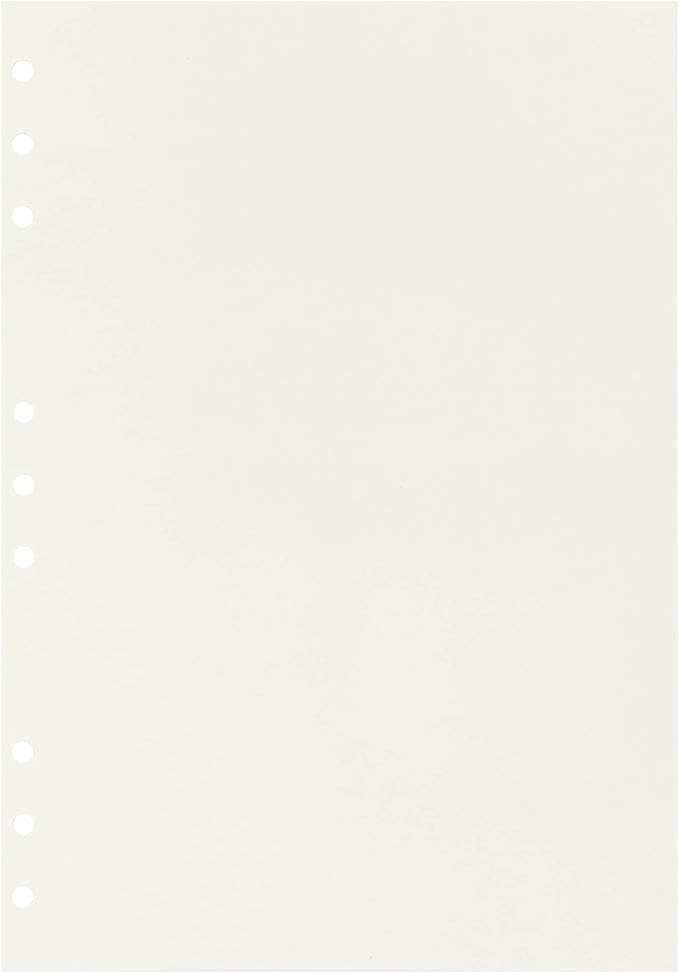 Zelten 2 Pack B5 90 Sheets/180 Pages Blank Loose Leaf Punched Paper Refills Paper for 9 Hole Binder Personal Organizer Diary Notebook Refillable Planner