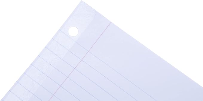 Mintra Reinforced Filler Paper (400 Sheets (4pk of 100), Wide Ruled)