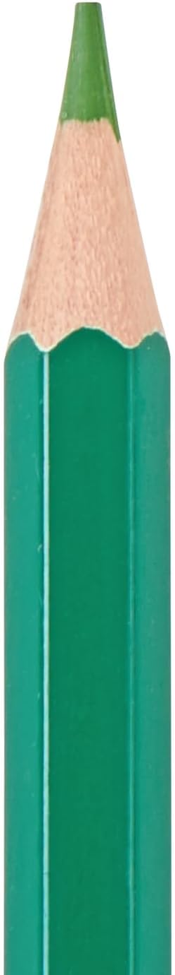 Colorations Classroom Pack Colored Pencils - Set of 240 - Bulk Arts and Crafts Supplies, Ages 3+, Classroom Essentials