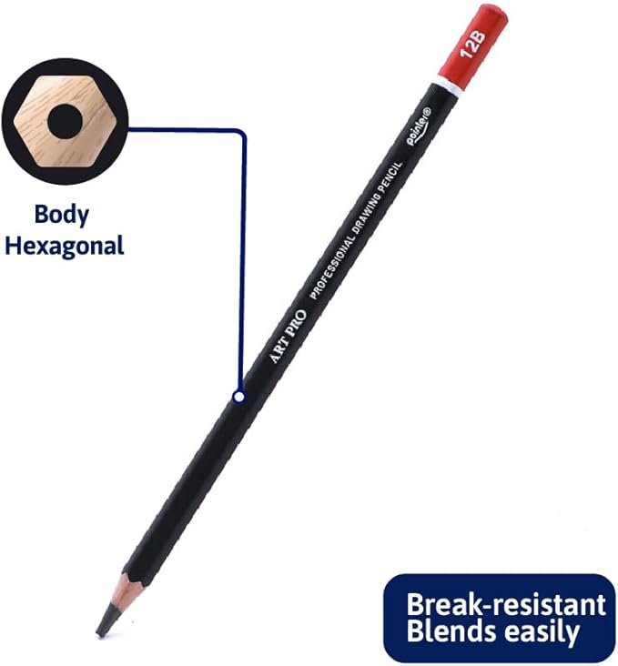 Pointer Art Pro Drawing Pencils Set, 12 Graphite Pencils 6H-12B, Professional Artist Sketching Kit