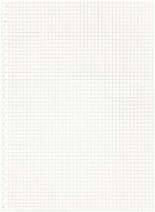 Zelten 2 Pack A4 90 Sheets/180 Pages Squared Loose Leaf Punched Paper Refills Paper for 30 Hole Binder Personal Organizer Diary Notebook Refillable Planner