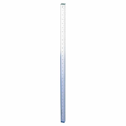 HARFINGTON Acrylic Clear Straight Rulers 30cm Metric Transparent Gradient Three-Dimensional Plastic Ruler Square Cube Measuring Tool for Classroom Office, Gray