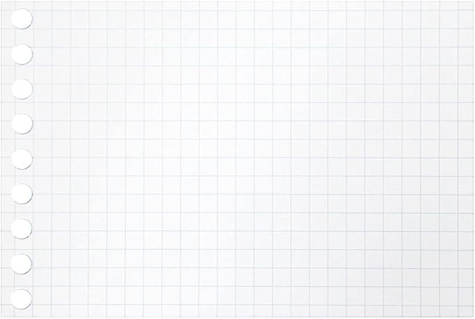Maruman Loose Leaf Paper B7 Mini 5mm Grid 9 Holes 100 Sheets (L1432) x 2