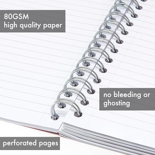 Pukka Pad 5 Subject Spiral Notebook 12-Pack - 200 Pages, 100 Sheets of 80GSM Paper with Repositionable Dividers & Perforated Edges for School & Office Planning & Organization - B5-7 X 10, Pastel