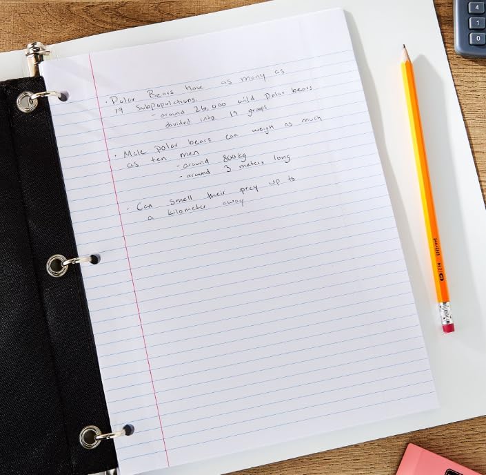 College Ruled Reinforced Filler Paper, 8 x 10.5 Inch, 100 Sheets, 3-Hole Punched Loose Leaf Notebook Paper for School, Office & Note Taking