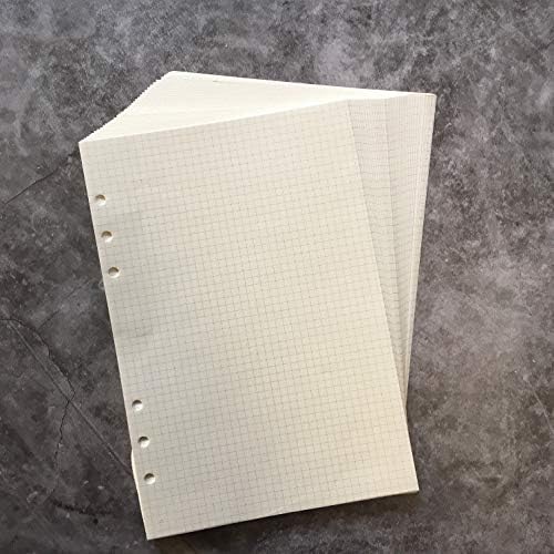 Zelten Refills/Loose Leaves for A5 Cover Ring Binder/Personal Organizer/Planner(A5 6 Holes, Paper Grid Graph 2 Pack)
