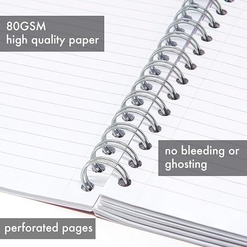 Pukka Pad 5 Subject Spiral Notebook 12-Pack - 200 Pages, 100 Sheets of 80GSM Paper with Repositionable Dividers & Perforated Edges for Office Planning & Organization - B5-7 X 10, Rochelle & Jess