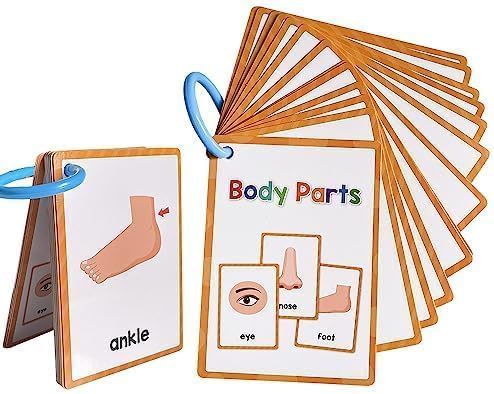 Lachilly Body Parts Learning Flashcards, High Frequency Words, Beginning Reading, Kindergarten to 1st Grade, ESL Teaching Materials, Autism Learning Materials, Vocabulary Building, 15 Cards, 28 Words