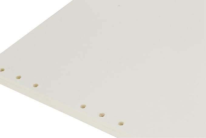 B5 Refill Paper 9 Hole Punched Filler Paper Refills for B5 Loose Leaf Notebook Travel Journal Personal Diary Planner Binder Scrapbook, 80 Sheet, 160 Page, Blank Paper, 6.9 Inches x 9.8 Inches