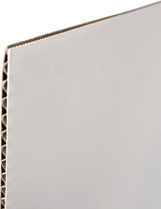 Flipside Products Science Fair Project Board Kit – 28" x 40" White Trifold Boards with Black Title Letters – Classroom & School Project Display – 2 Pack