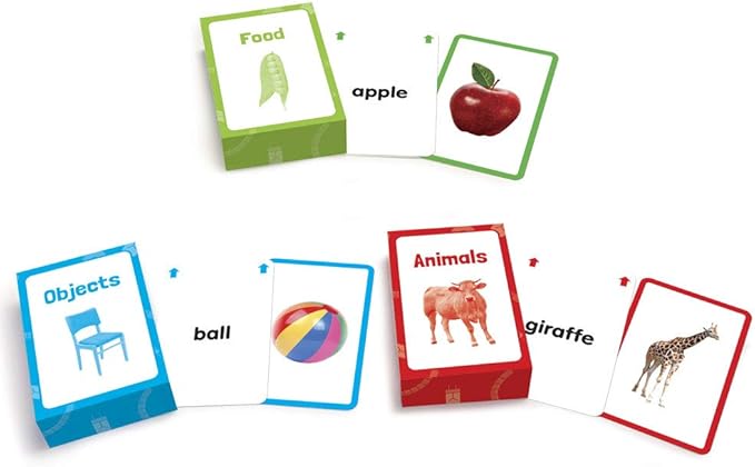Junior Learning Noun Flash Cards