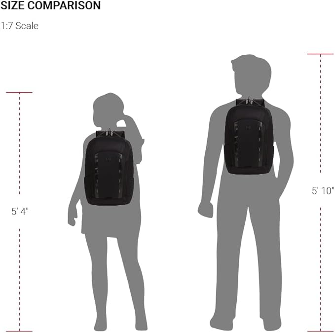 SwissGear 8119 Laptop Backpack, Light Blue, 19 In