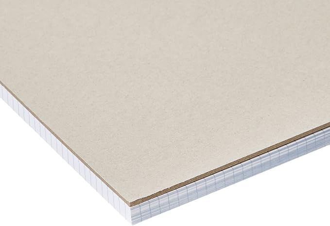Amazon Basics Quad-Ruled Graph Paper Pad with Sturdy Back, Perforated, 8.5" x 11.75", White, 100 Sheets/Pad, 2-Pack